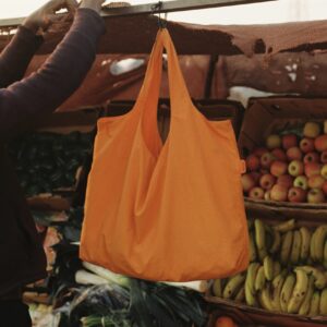 The Orange Tote Bag